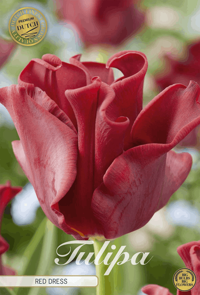 Tulipa Red Dress