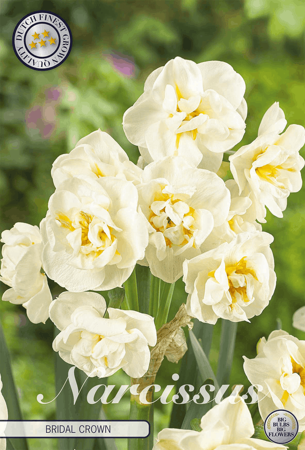 Narcissus Bridal Crown