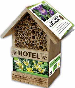 Bee Hotel with Tulip Bulbs