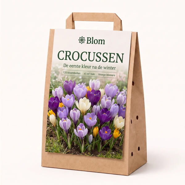 Blumengarten Krokus