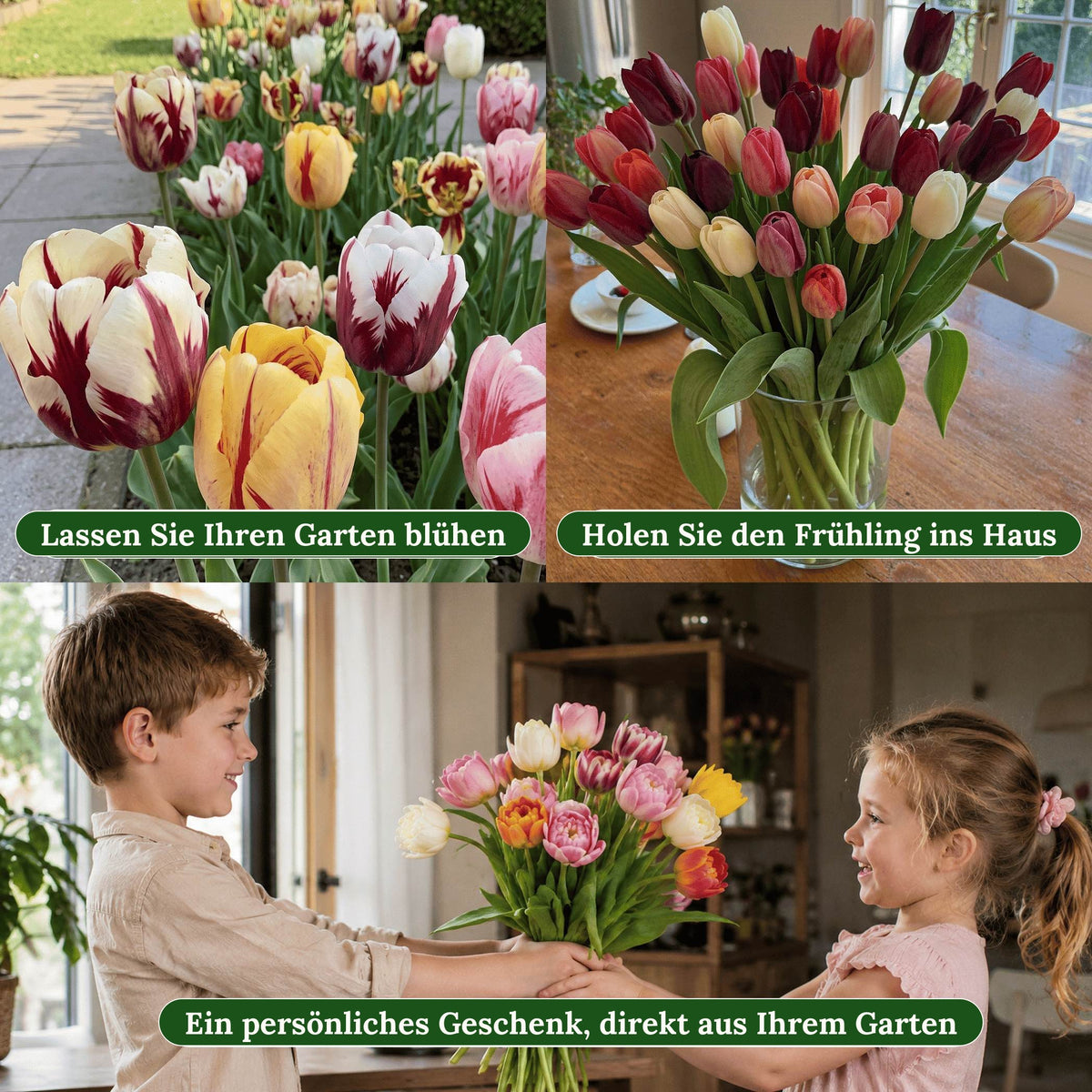 Blühende Tulpen im Garten, eine Vase mit Tulpen auf dem Tisch und ein Kind, das einen Tulpenstrauß verschenkt