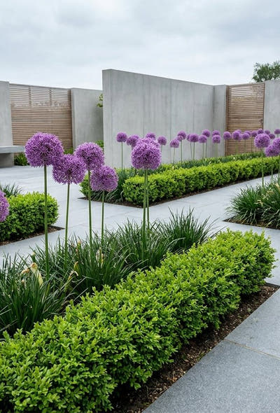 Strakke moderne tuin — Statige Bollen