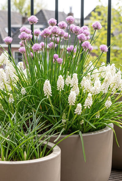 Bienenfreundlicher Garten — Balkon für Bienen
