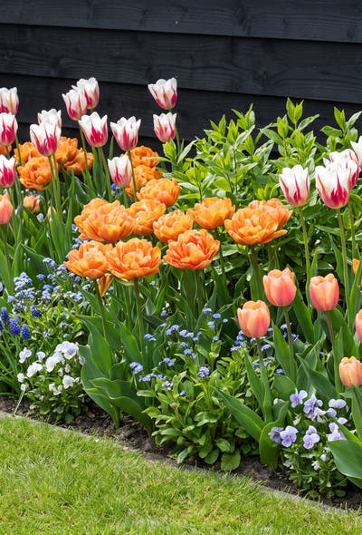 Farbenfroher Garten — Karneval