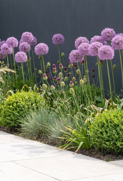 Moderner Garten — Architektur in Violett