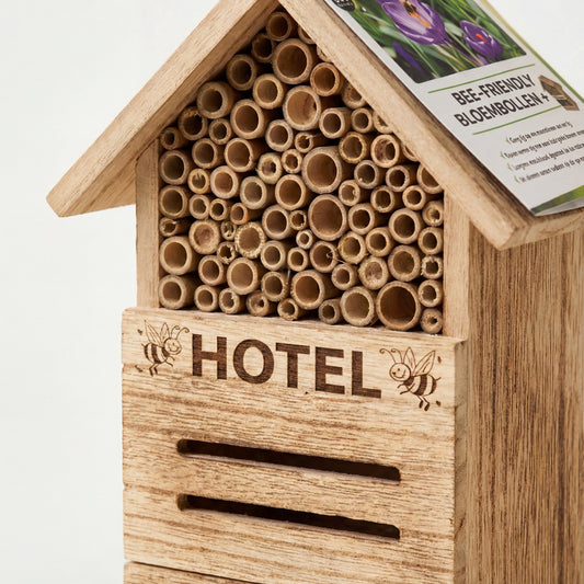 Bienenhotel mit Freesiaknollen