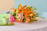 Lilium Scoubidou