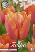 Tulipa Jimmy - BLOM Garden capper image