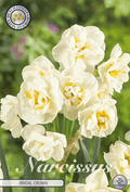 Narcissus Bridal Crown