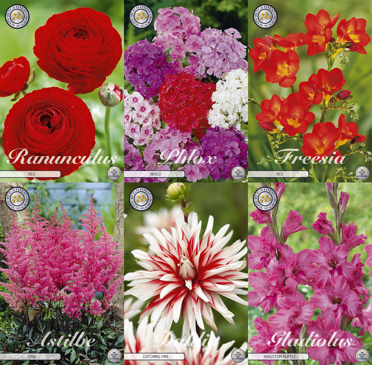 Kräftig & Strahlend