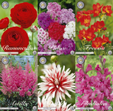 Kräftig & Strahlend