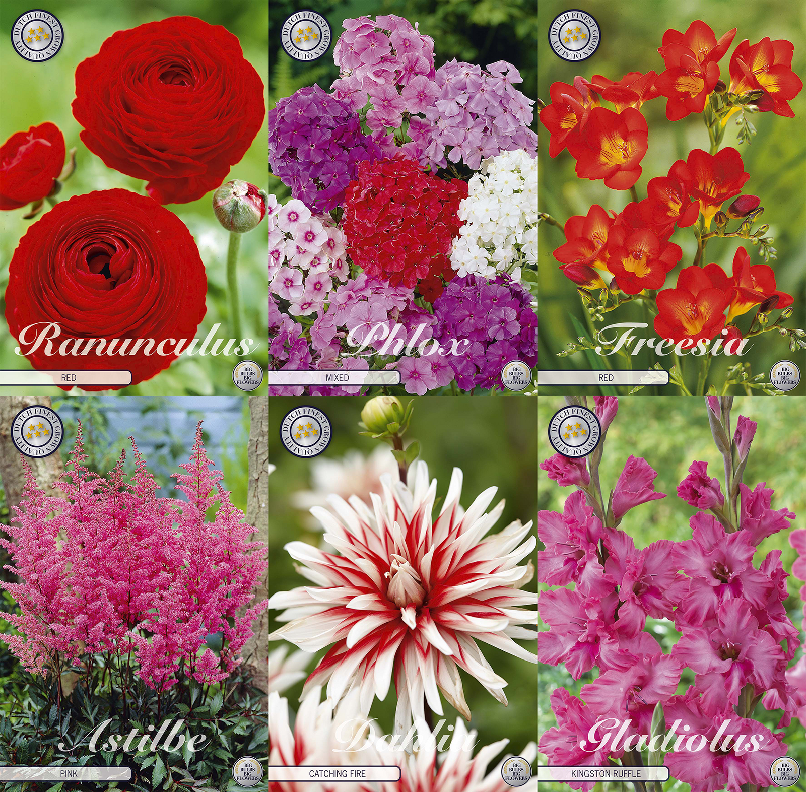 Kräftig & Strahlend