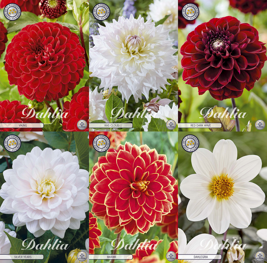 Sammlung Klassische Romanzen