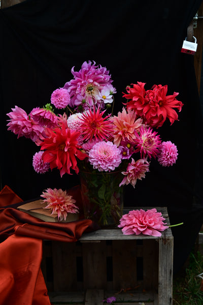 Schnittblume