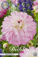 Dahlia Rosa Petticoat