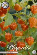 Lampionblume