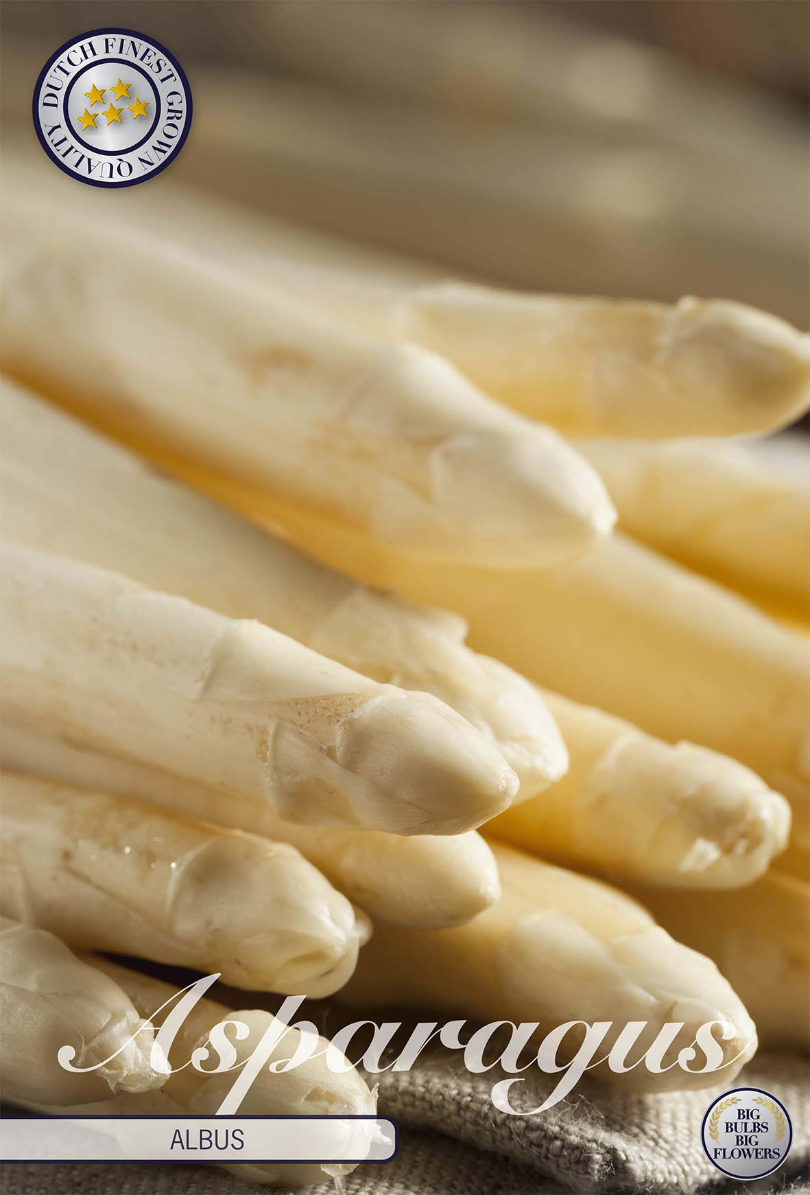 Spargel Albus