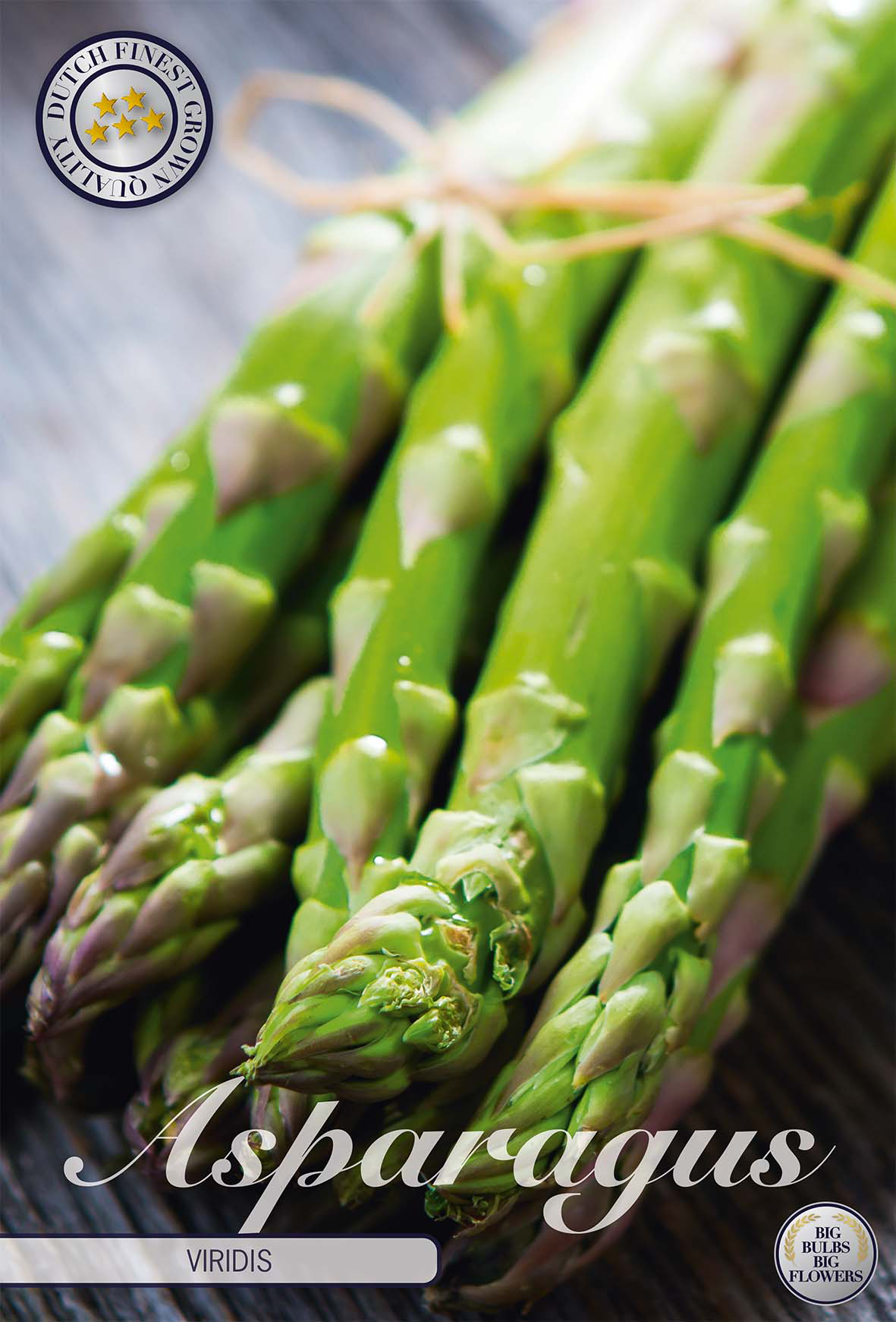 Spargel Viridis