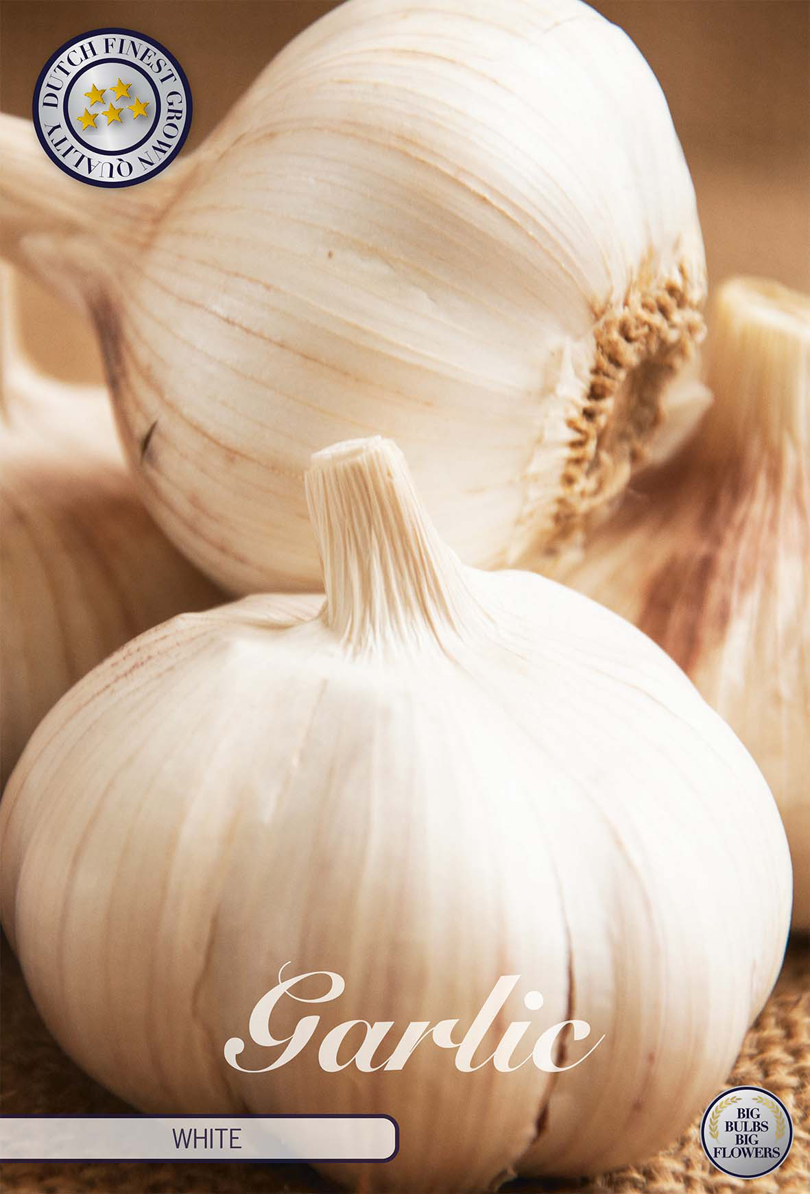 Knoblauch Weiß