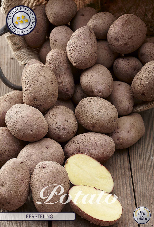 Kartoffel Eersteling