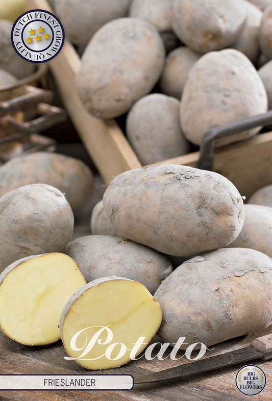 Kartoffel-Friesländer