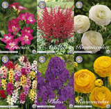 Romantischer Blumenstrauß
