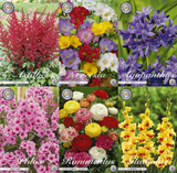 Sommeratelier