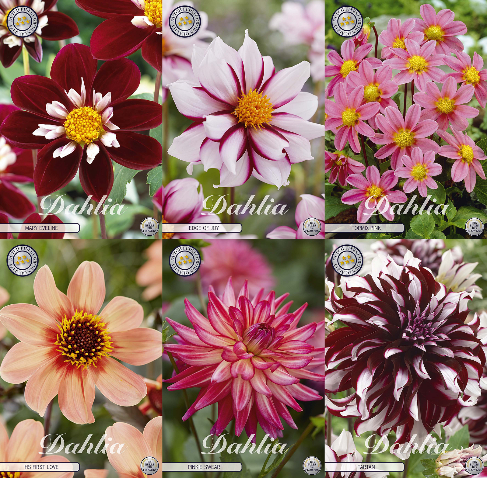 Sammlung Einzigartige Herzen