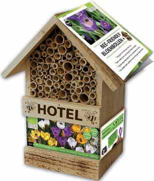 Bee Hotel with Crocus Bulbs
