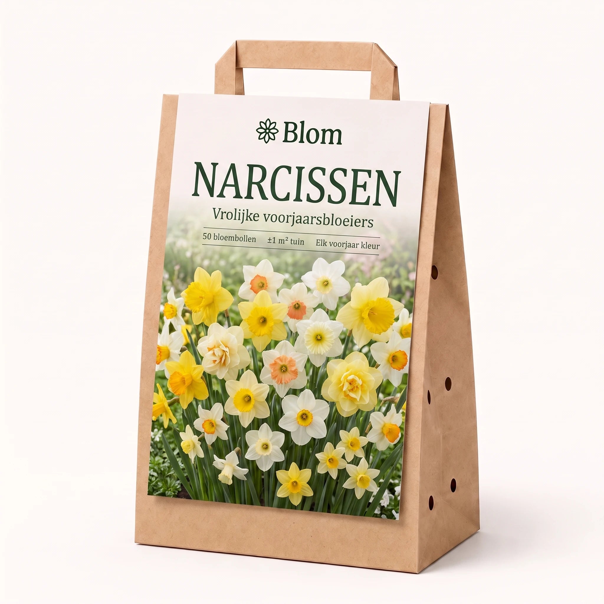 Blumengarten Narzisse