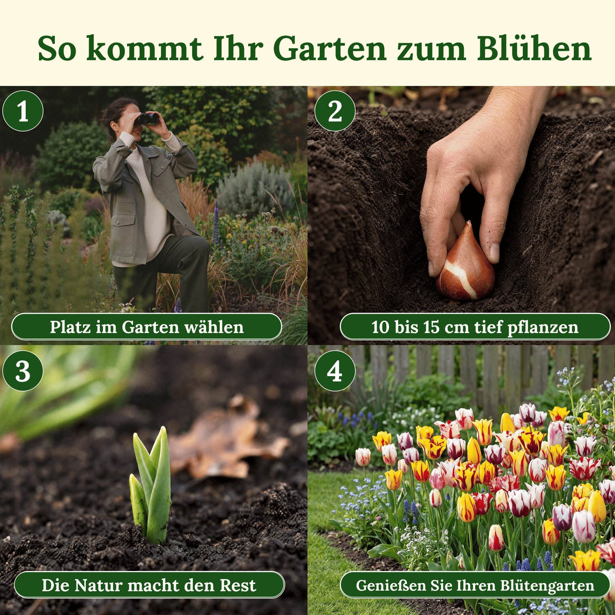So kommt Ihr Garten zum Blühen