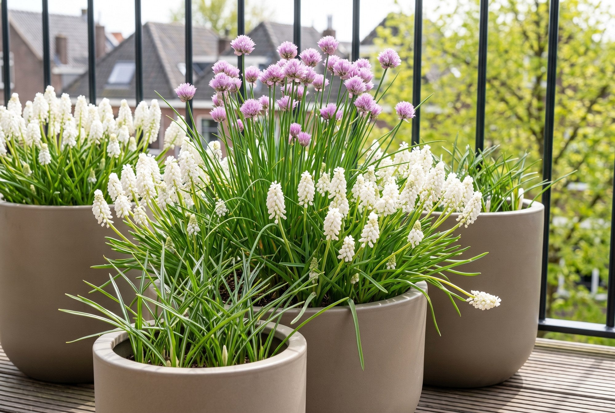 Bienenfreundlicher Garten — Balkon für Bienen