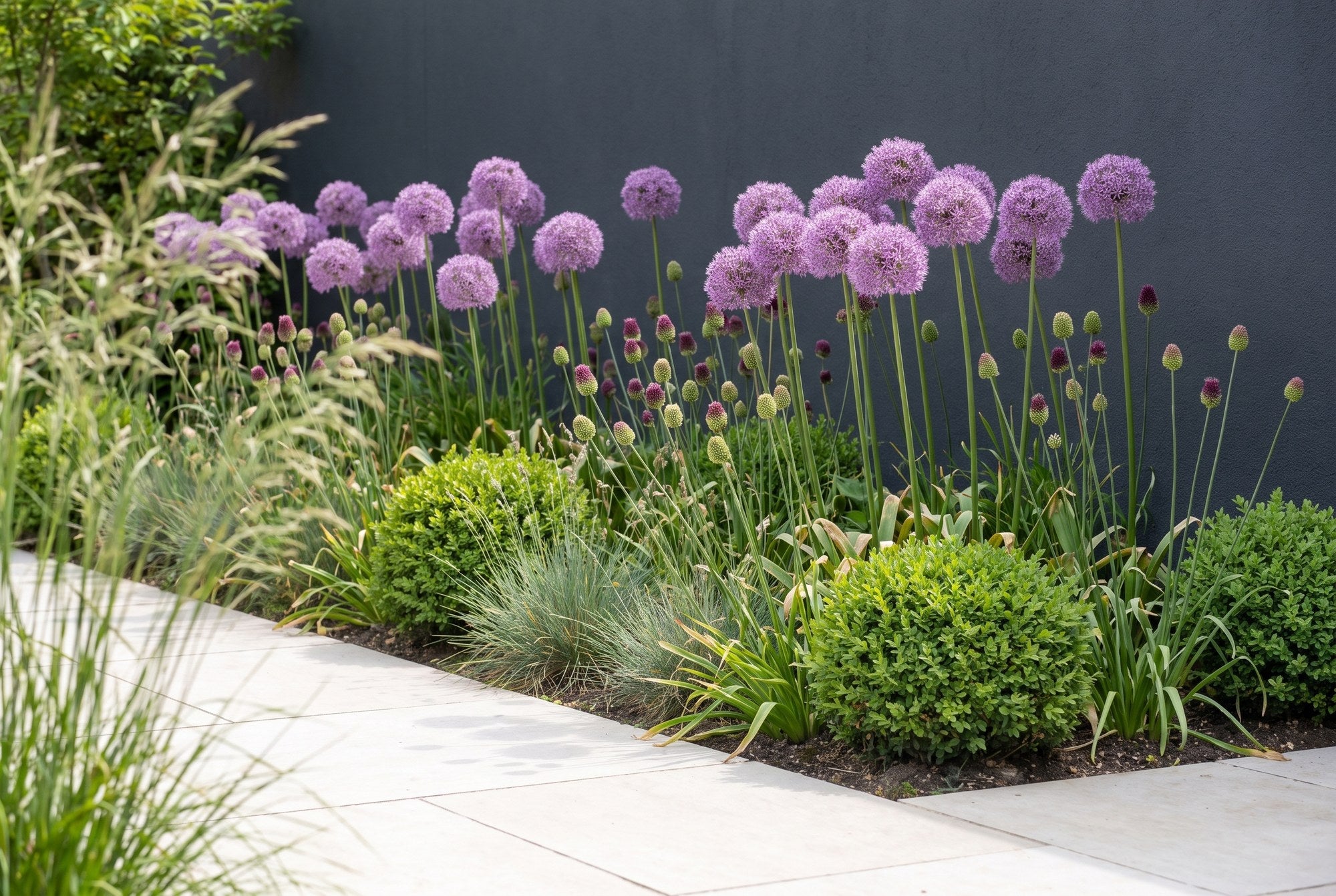 Moderner Garten — Architektur in Violett