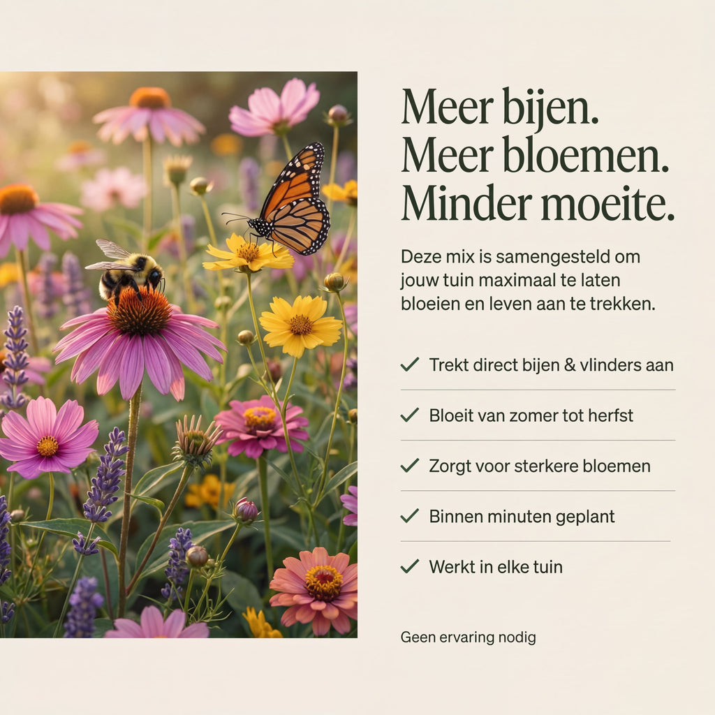 Bienenhotel mit Freesiaknollen