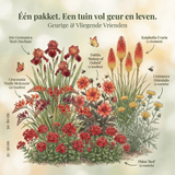 Sammlung Duftende & Fliegende Freunde