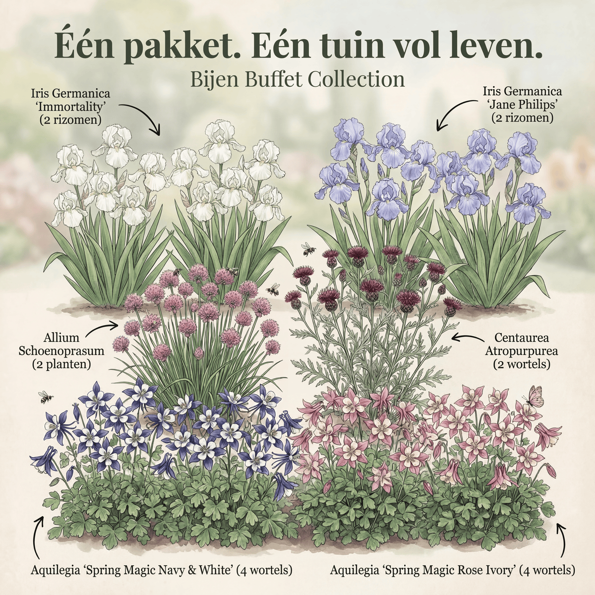 Sammlung Bienenbuffet Garten