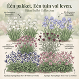 Sammlung Bienenbuffet Garten