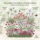 Balkon-Bestäuber-Paket