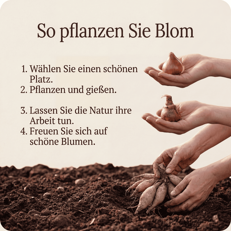 Überraschungsbox