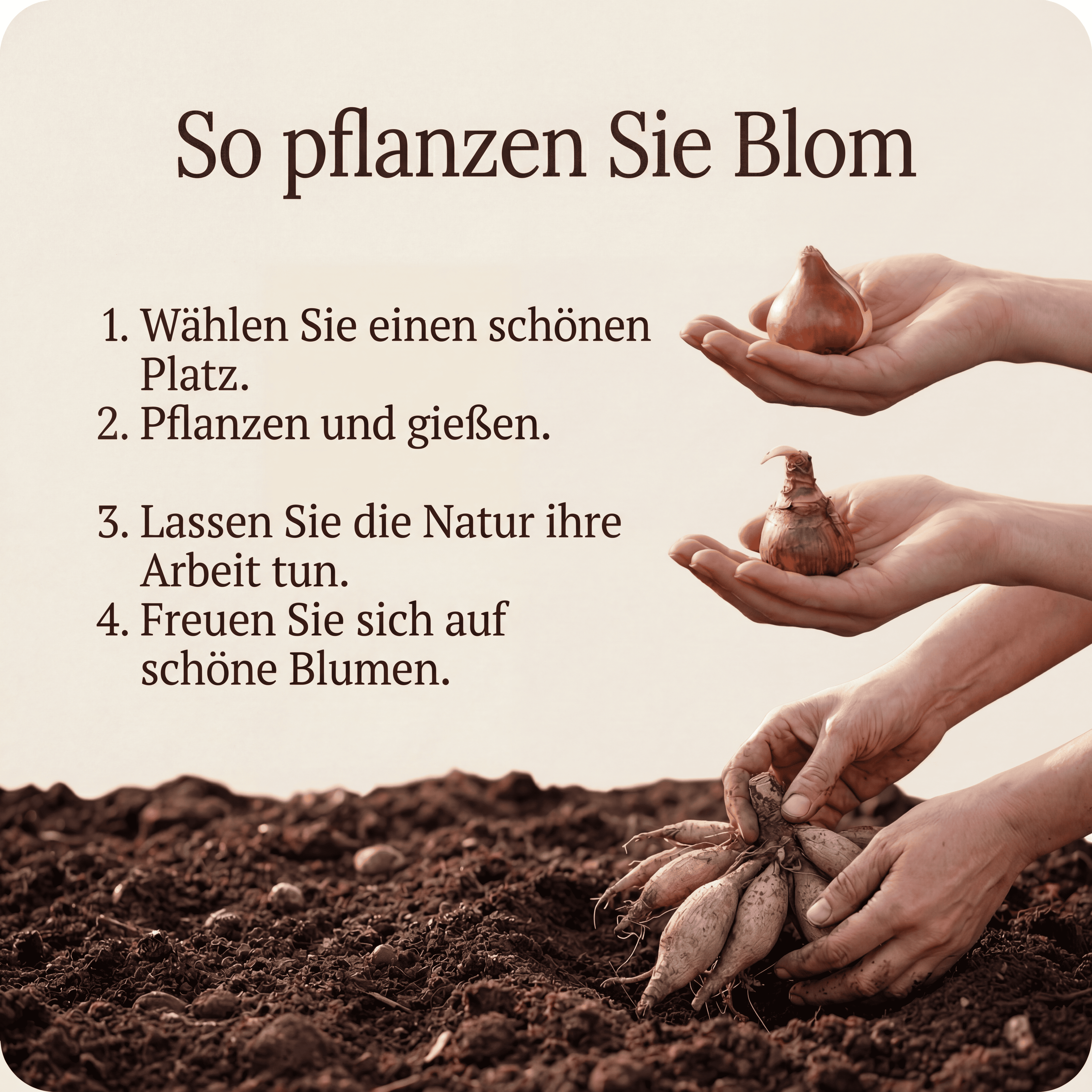 Überraschungsbox