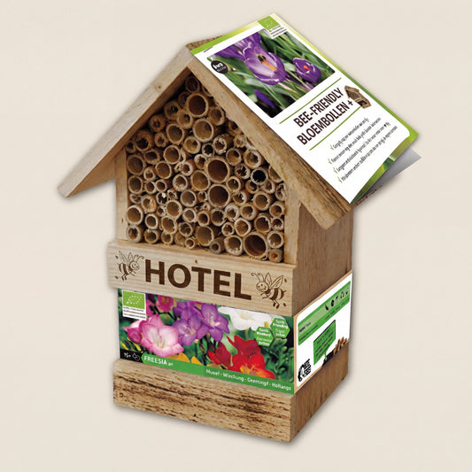Bienenhotel mit Freesiaknollen