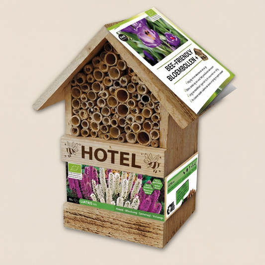 Bienenhotel mit Liatris-Zwiebeln