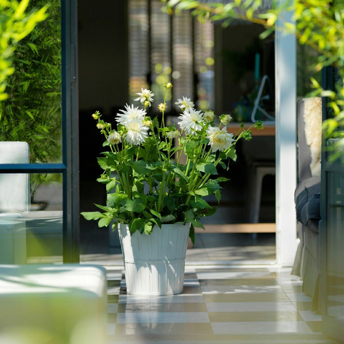 Kollektion Wachsende Liebe